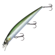 Level Minnow